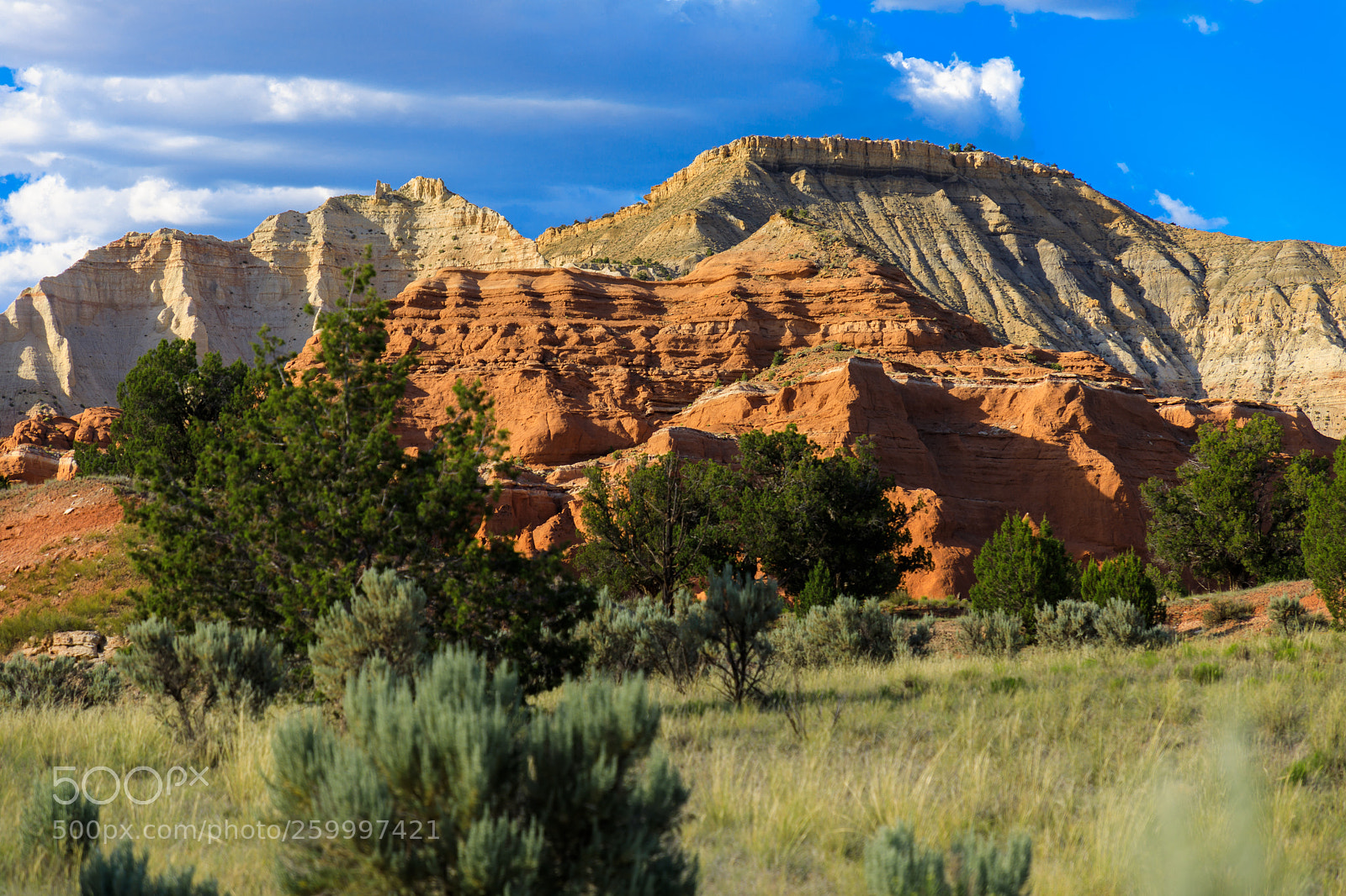 Canon EOS 5D Mark IV sample photo. Kodachrome basin state park 1844 photography