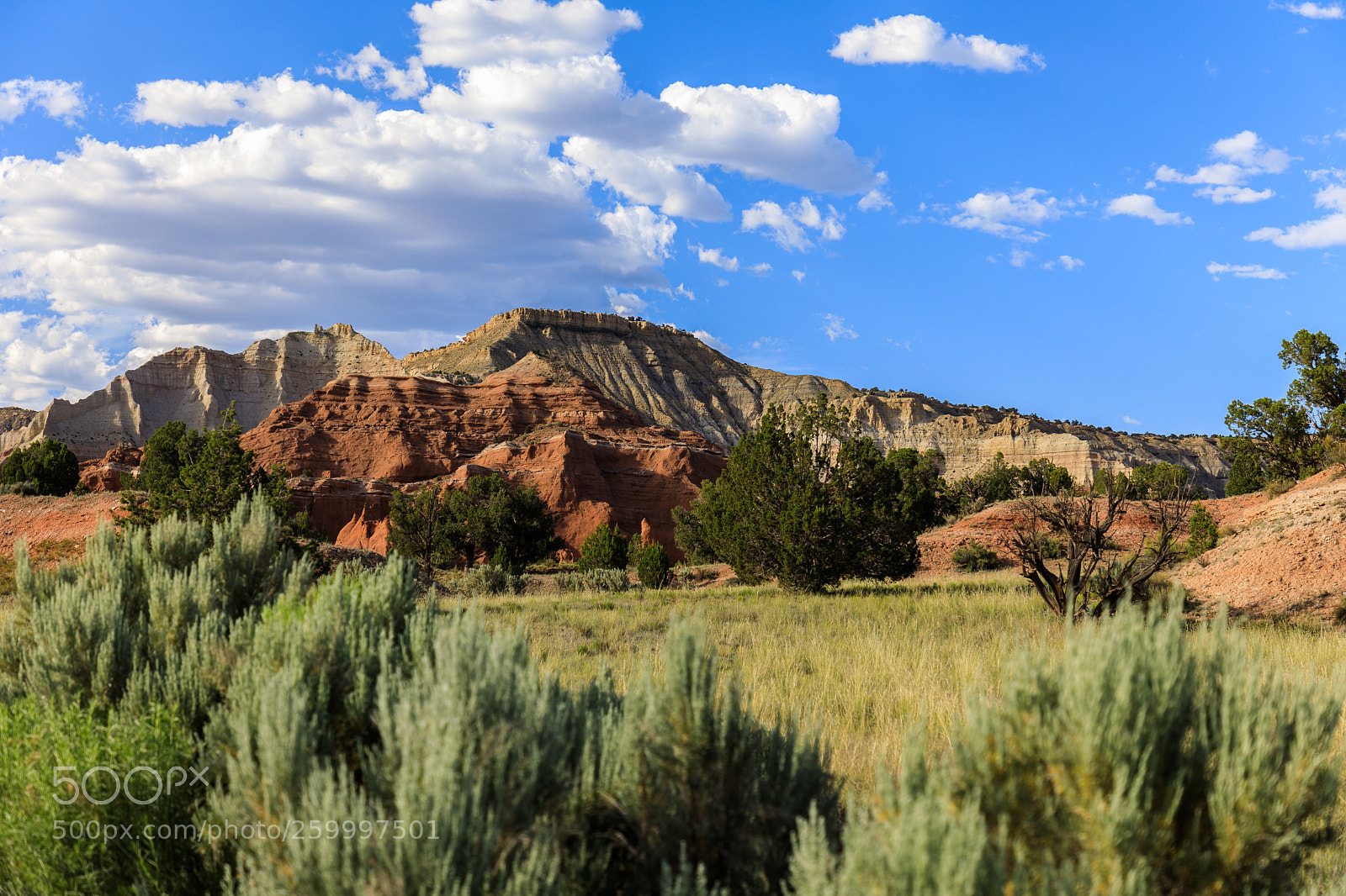 Canon EOS 5D Mark IV sample photo. Kodachrome basin state park 1846 photography