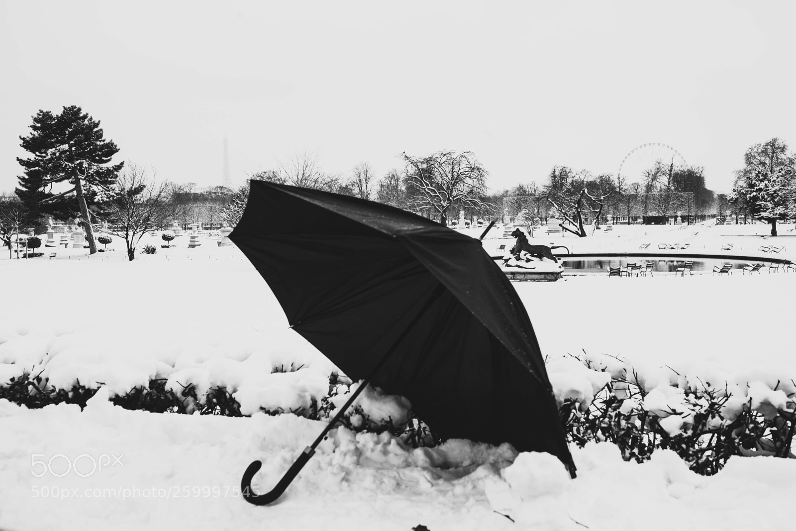 Canon EOS 5D Mark II sample photo. Img- paris by zoi photography