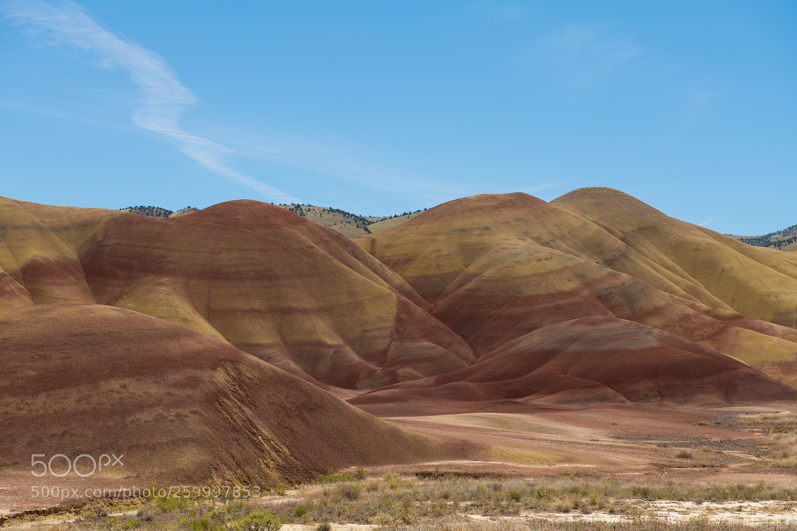 Nikon D850 sample photo. Untitled photography