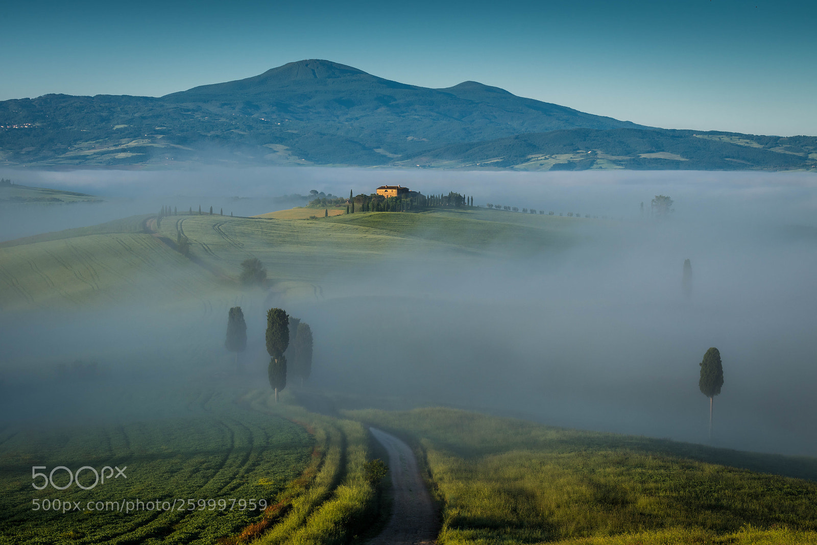Nikon D810 sample photo. Val d'orcia photography