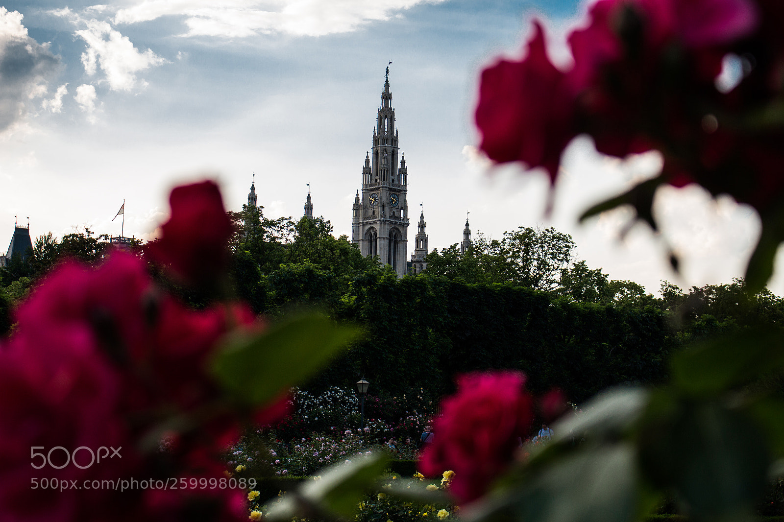 Canon EOS 100D (EOS Rebel SL1 / EOS Kiss X7) sample photo. Vienna, city of dreams. photography