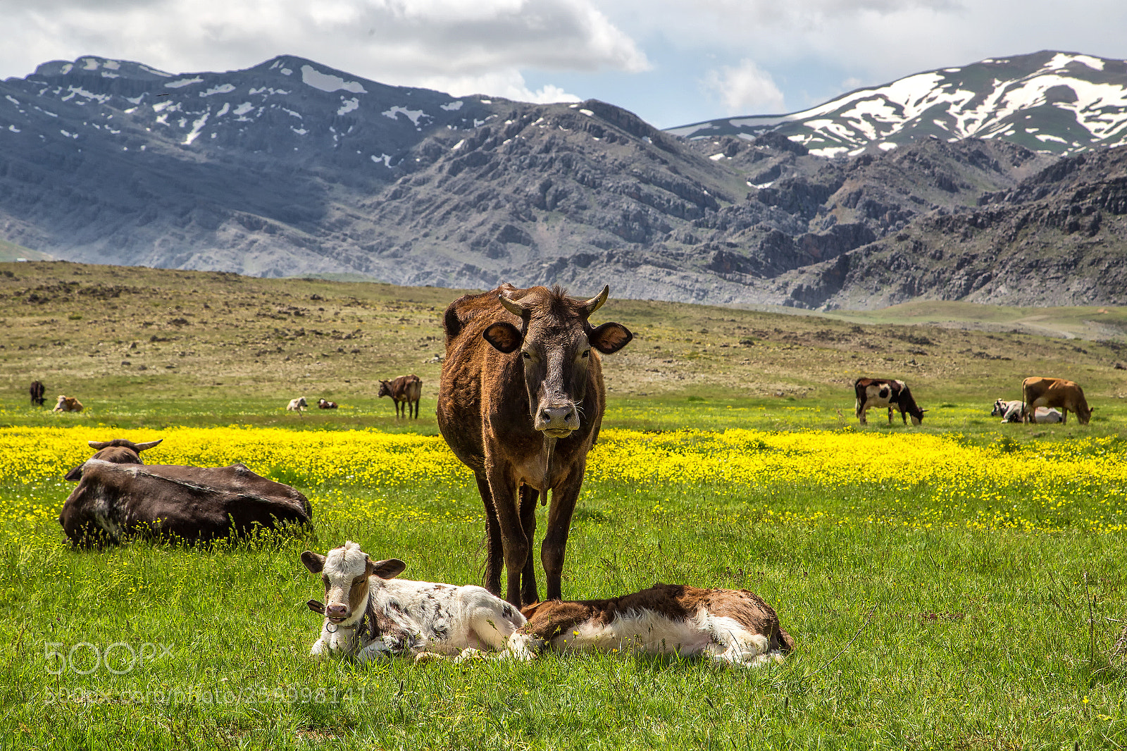 Canon EOS 6D sample photo. Ana ve çocukları... photography