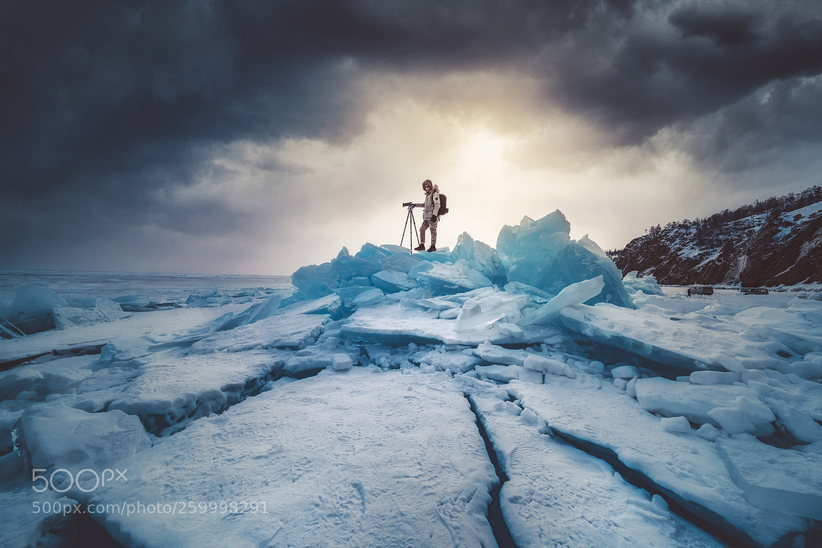 Nikon D810 sample photo. Ice seal photography