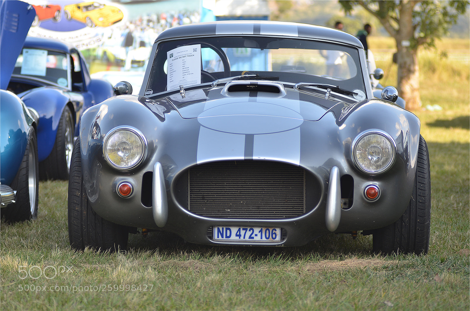 Nikon D7000 sample photo. Silver cobra hd photography