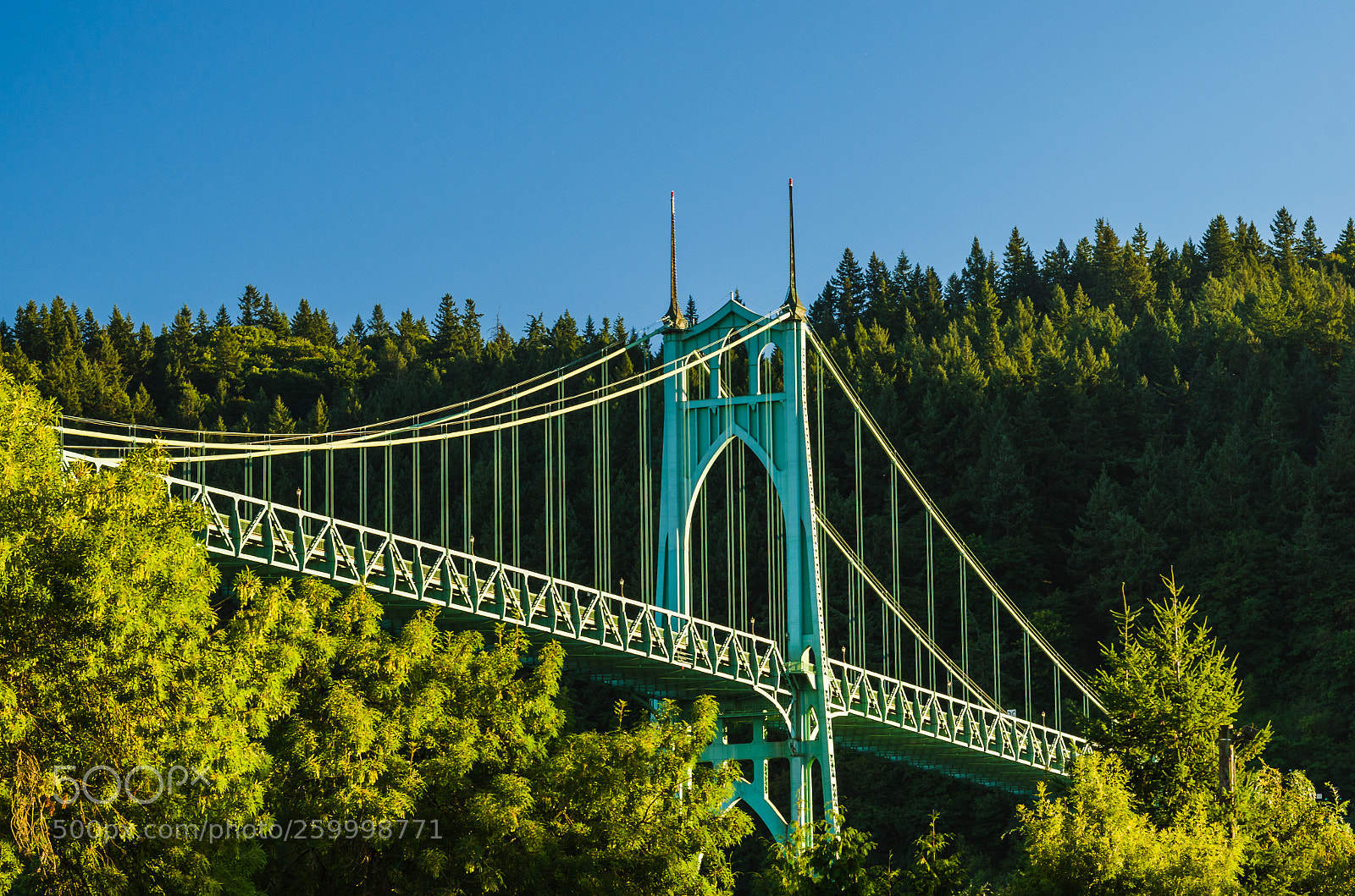 Nikon D5100 sample photo. St. johns bridge photography