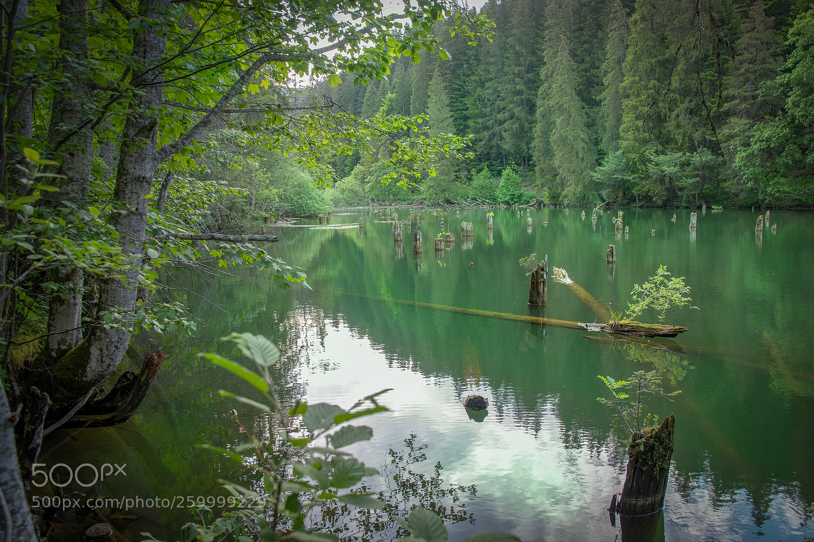 Nikon D500 sample photo. Lake emerald photography