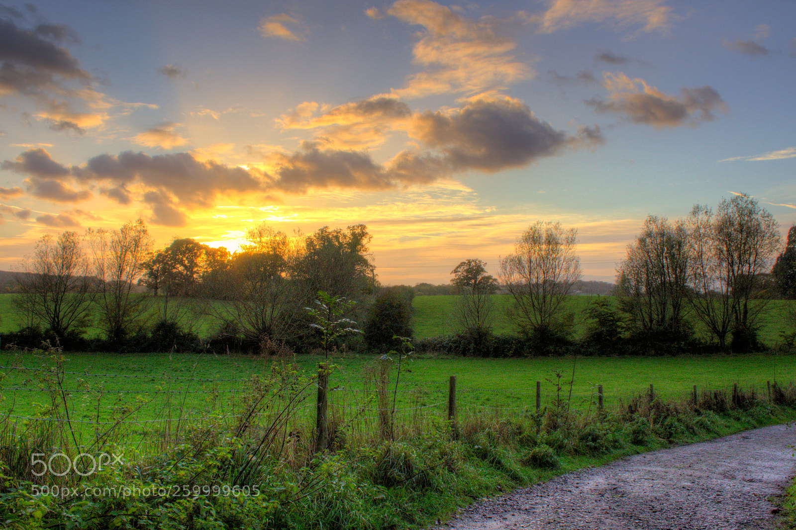 Canon EOS 600D (Rebel EOS T3i / EOS Kiss X5) sample photo. Thornbury sunset photography