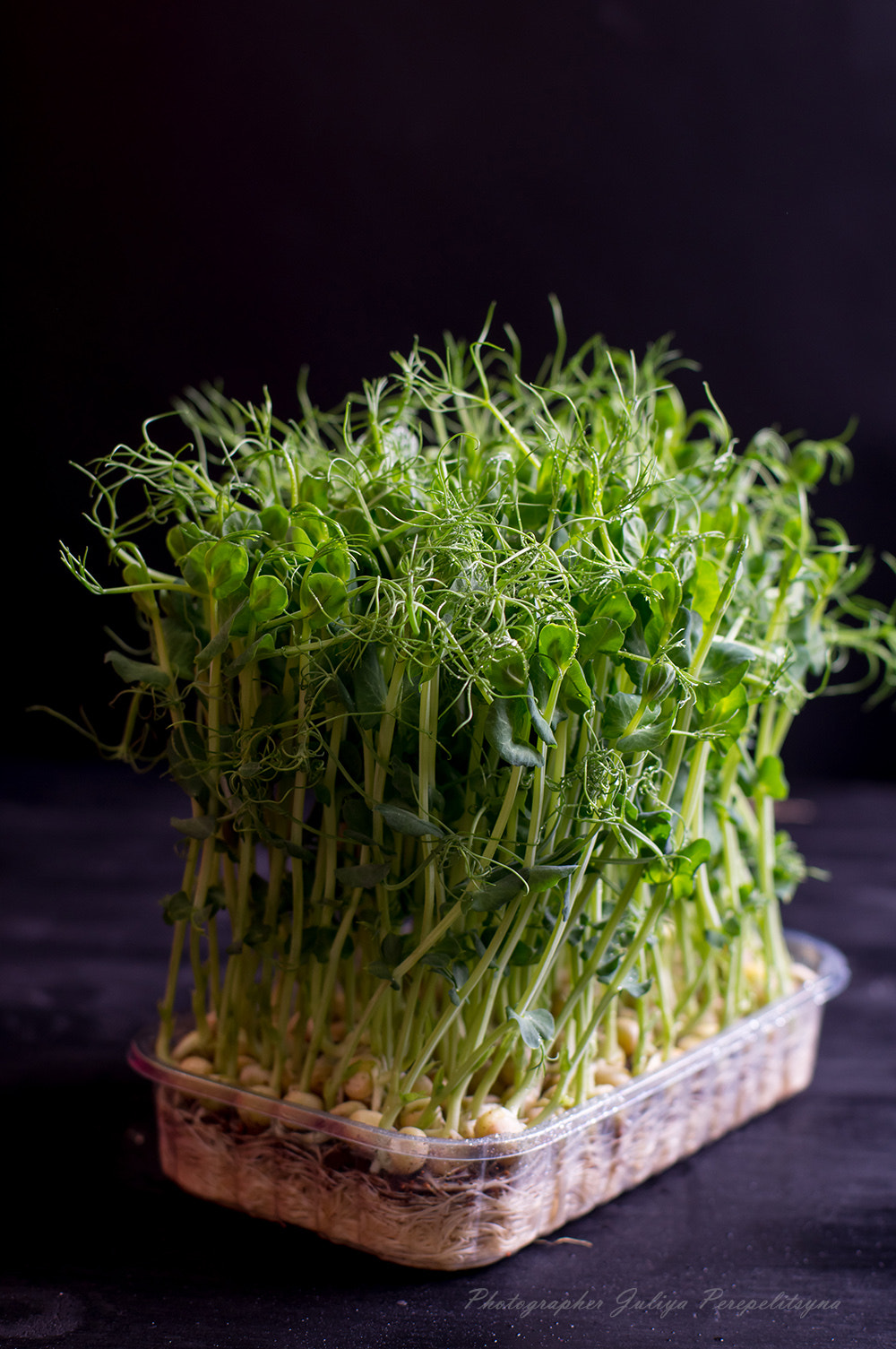 Sony SLT-A37 sample photo. Green pea sprouts photography