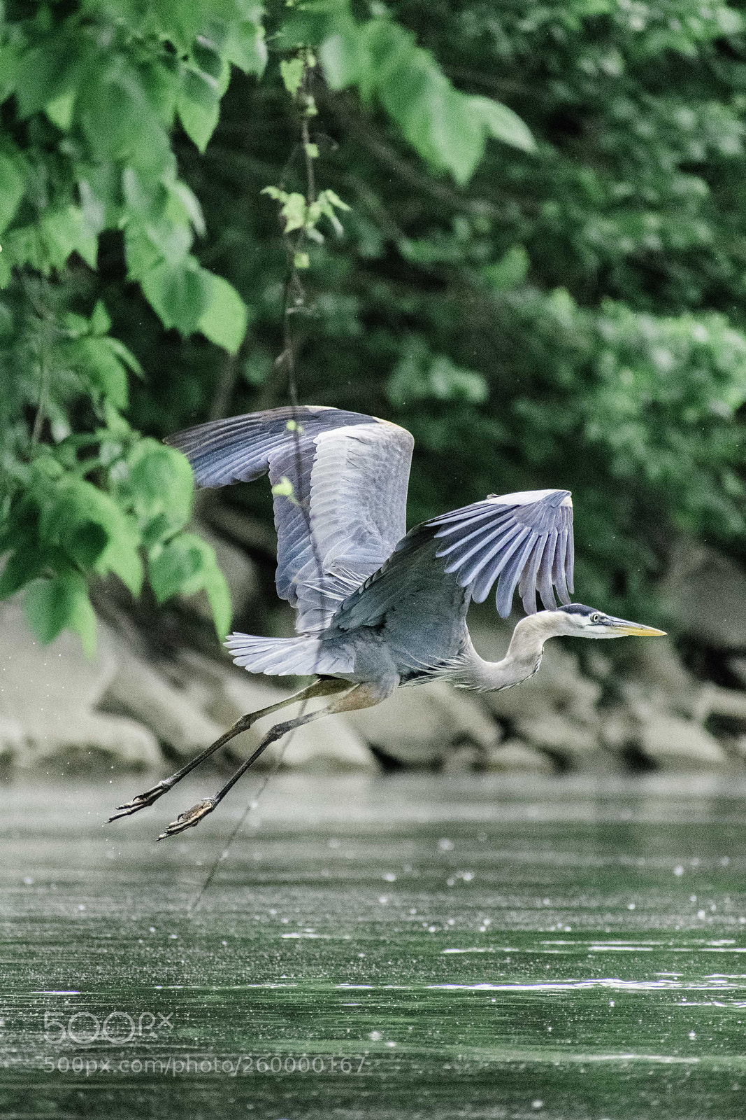 Nikon D3400 sample photo. Lift  off photography