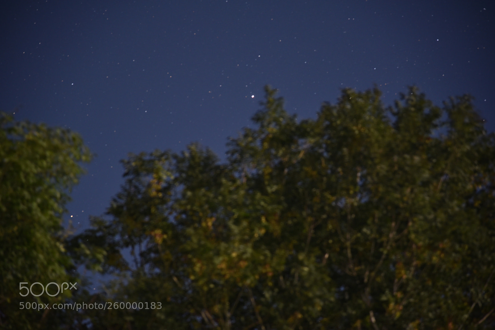 Nikon AF-S Nikkor 24-120mm F4G ED VR sample photo. Dsc photography