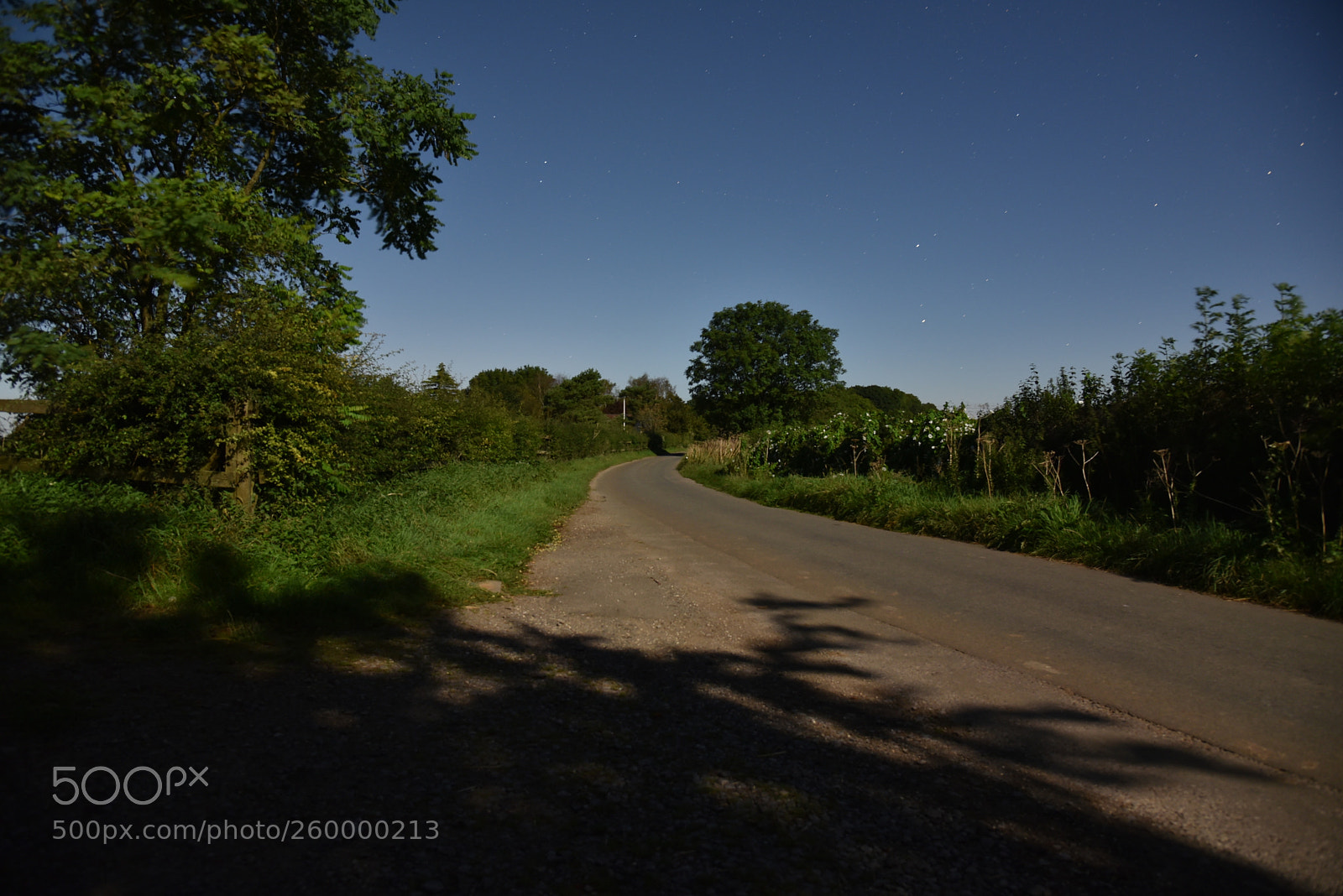 Nikon AF-S Nikkor 24-120mm F4G ED VR sample photo. Dsc photography