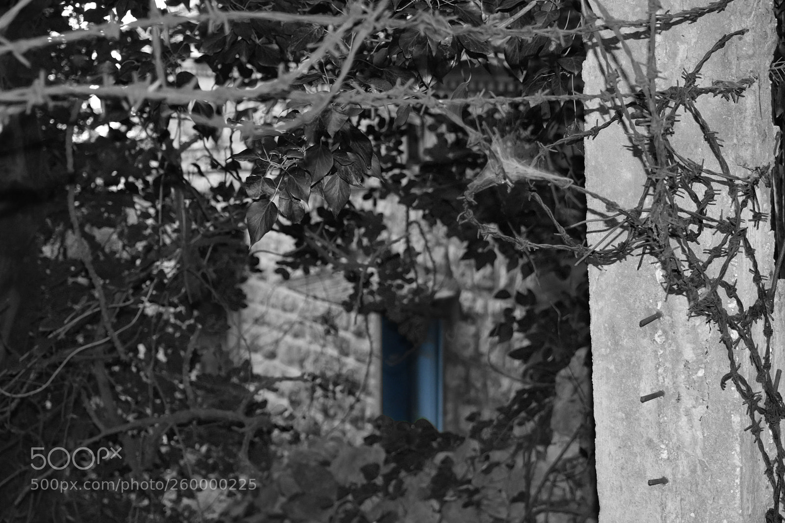 Nikon D3400 sample photo. Blue door photography