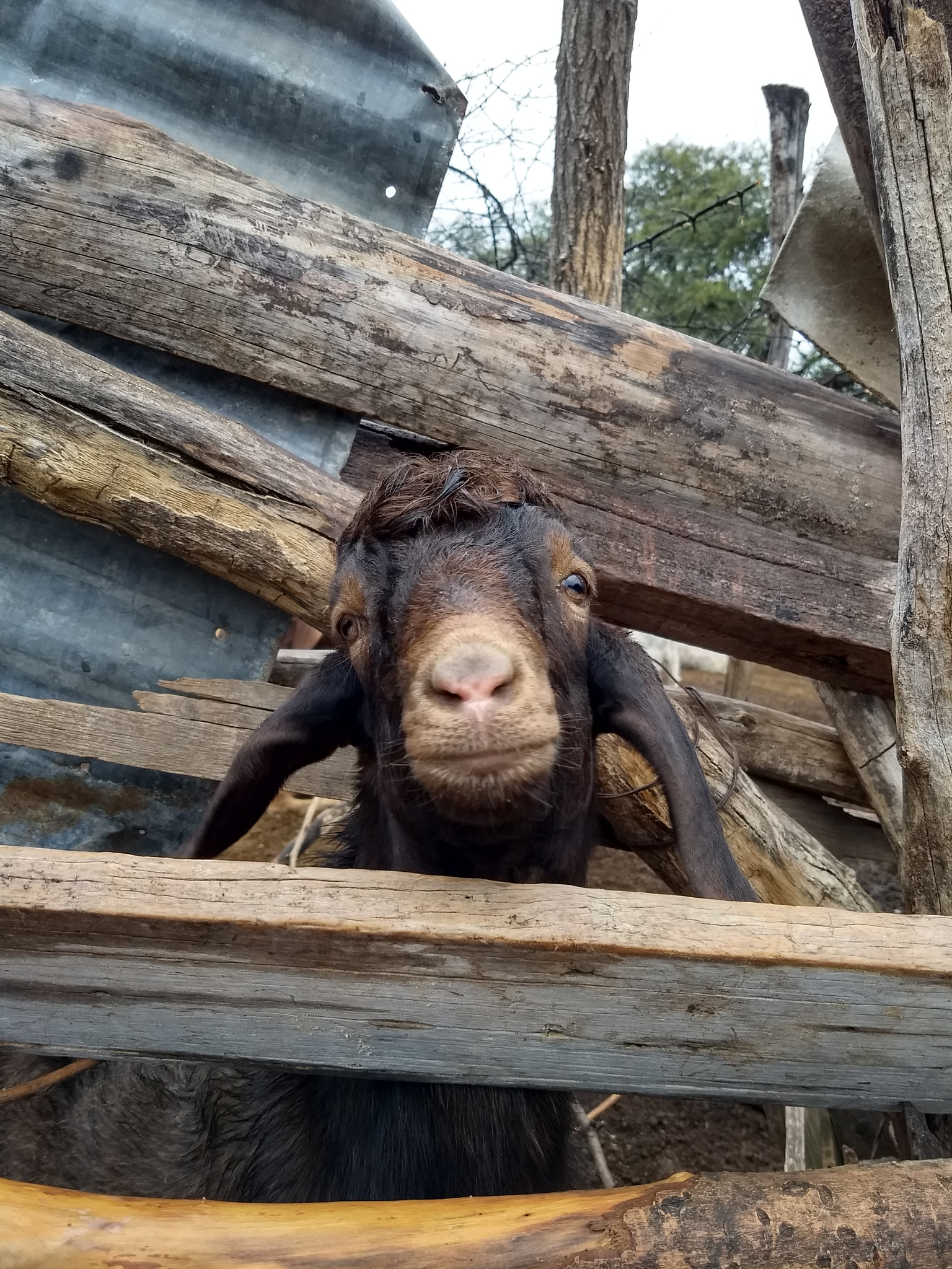 Motorola Moto G (5) Plus sample photo