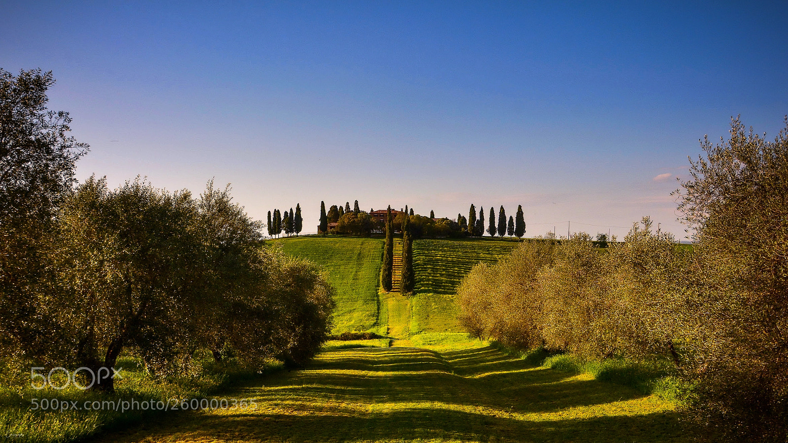 Nikon D7100 sample photo. Tuscan villa photography