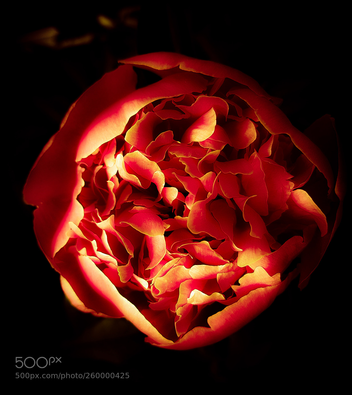 Samsung Galaxy S8+ sample photo. Red glow photography