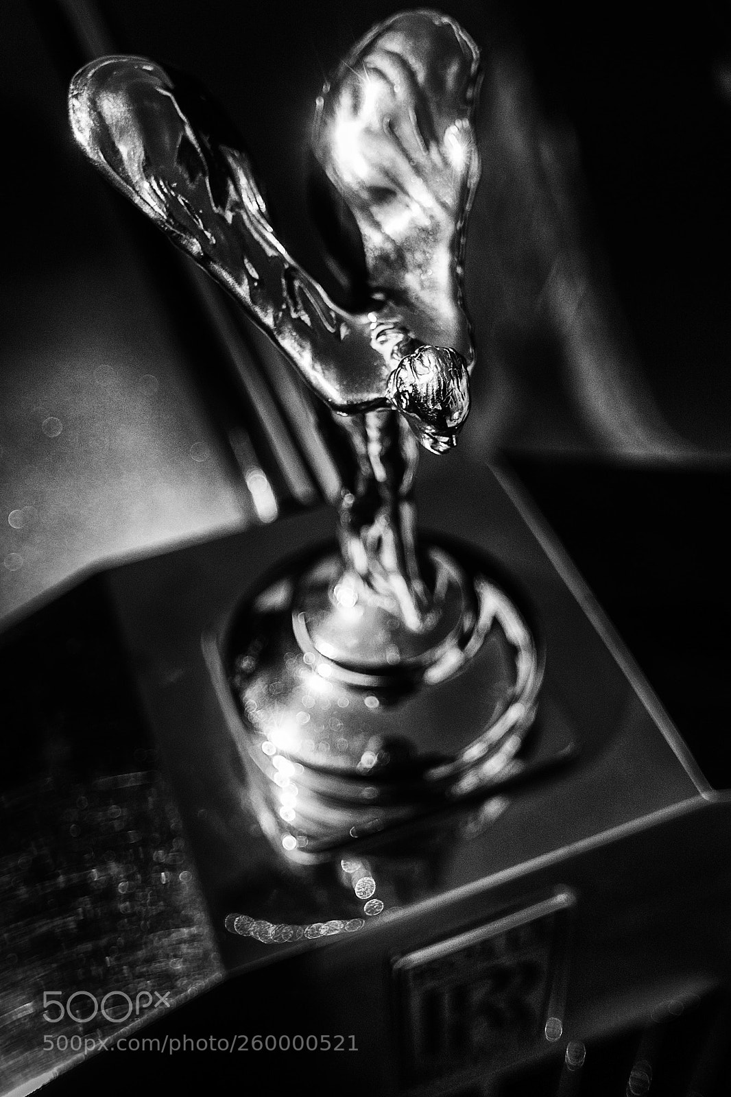 Nikon D700 sample photo. The spirit of ecstasy photography
