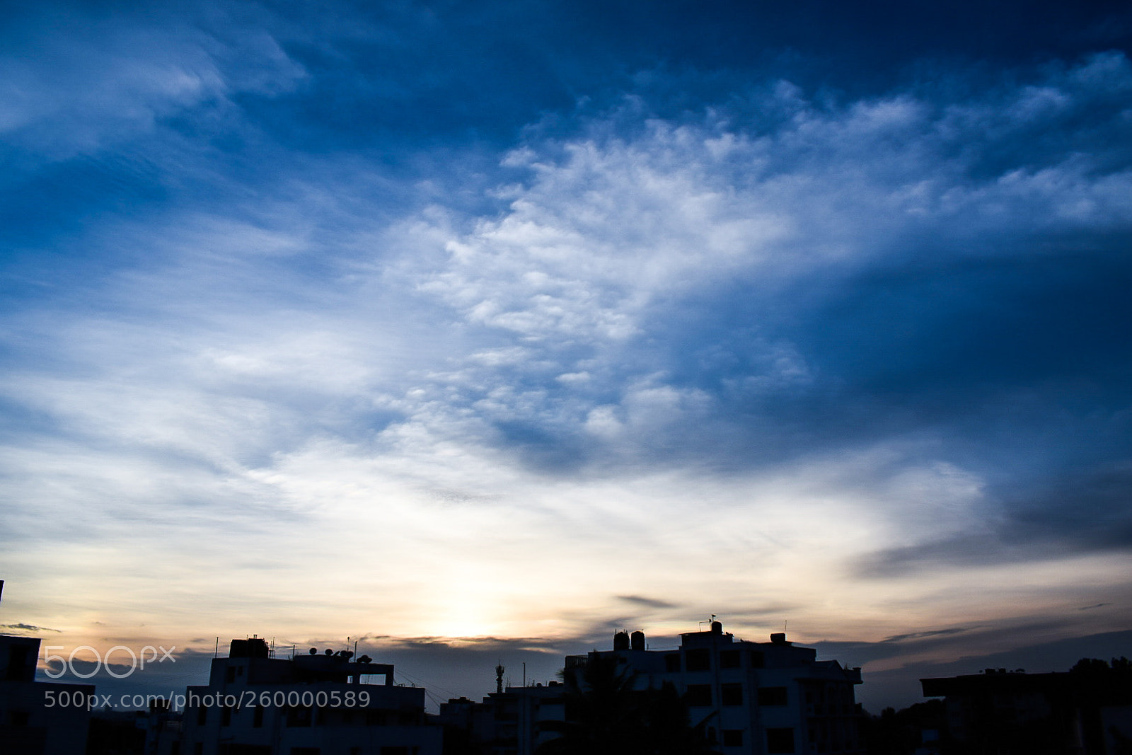 Nikon D5300 sample photo. Untitled photography