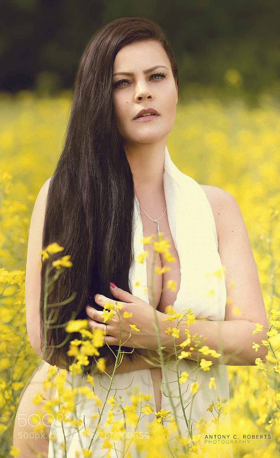 Fujifilm X-H1 sample photo. Golden photography