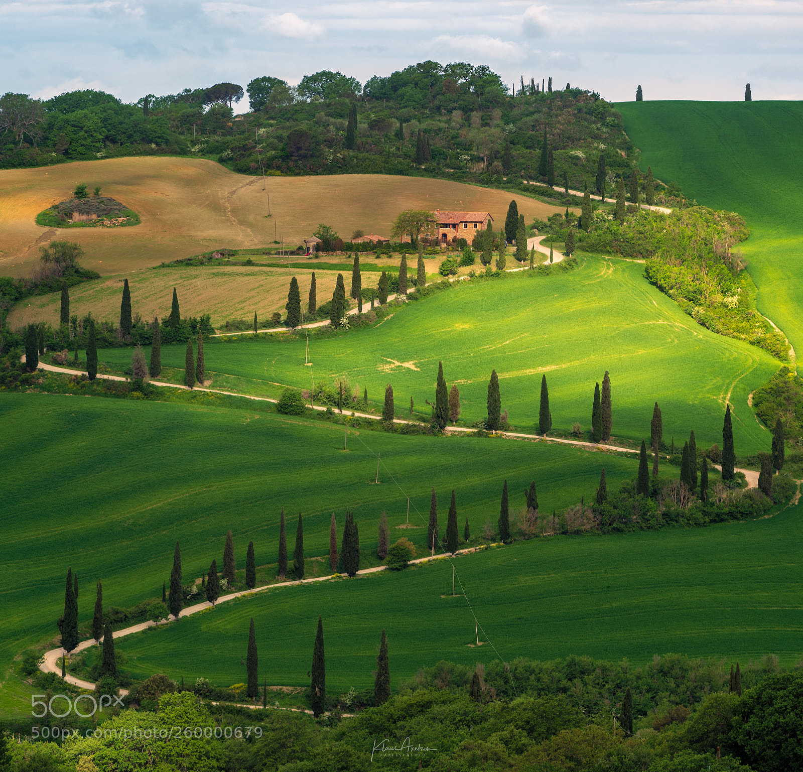 Sony a7R II sample photo. Not all roads are photography