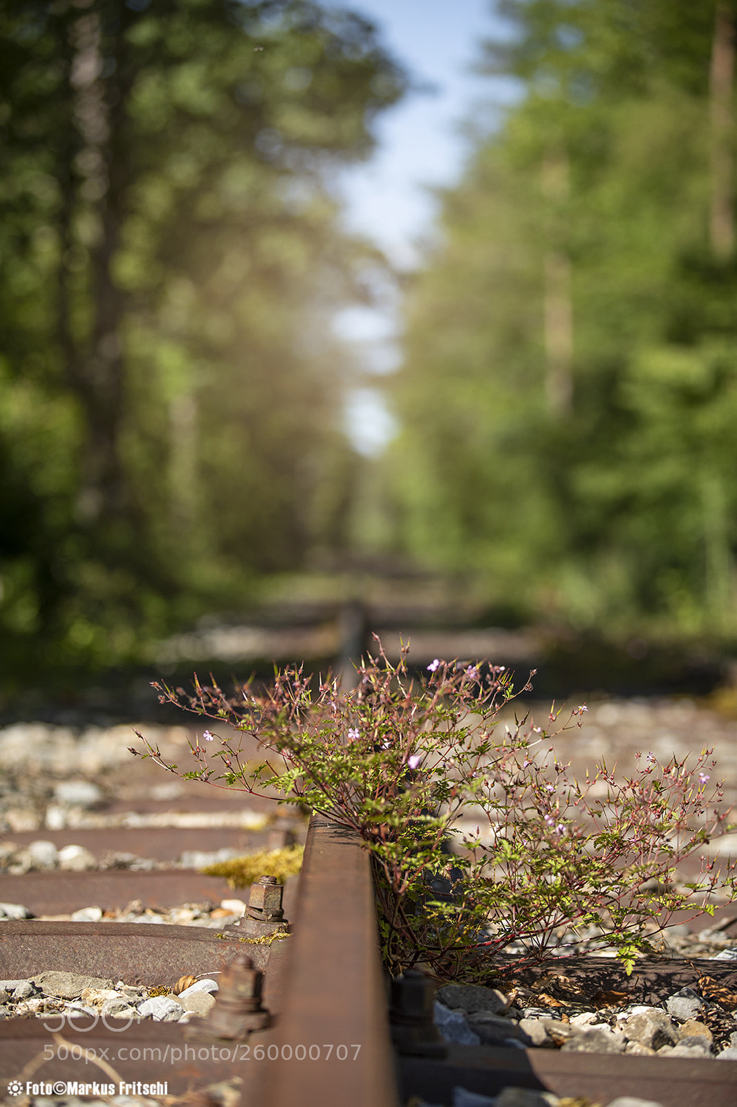 Canon EOS 5D Mark IV sample photo. No man's land photography
