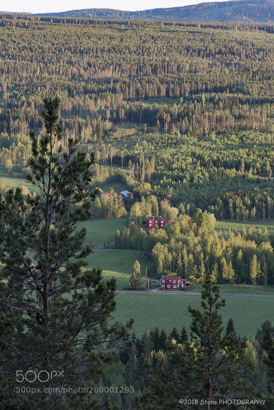 Nikon D750 sample photo. A beautiful view photography
