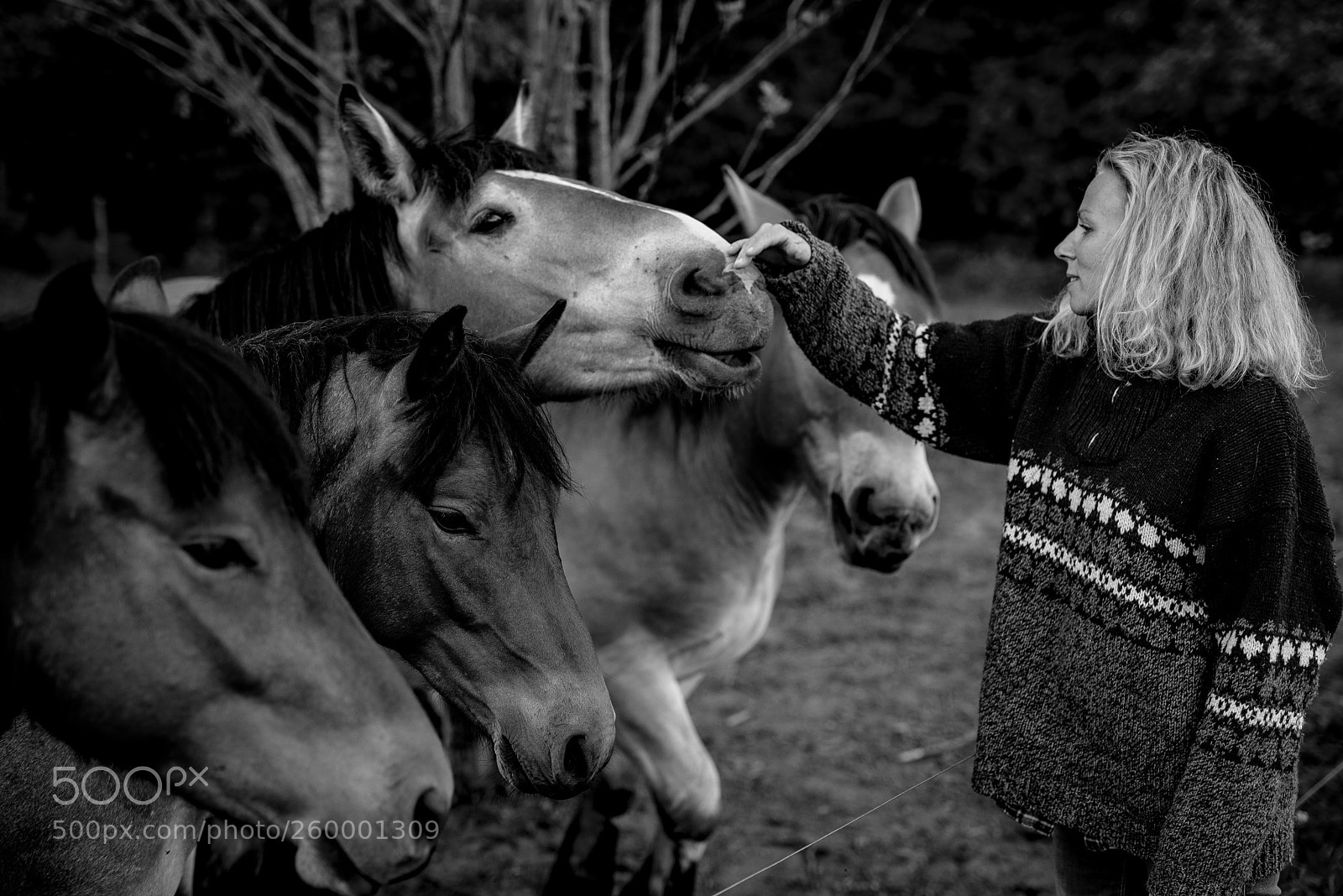 Nikon D750 sample photo. Sofia with friends photography