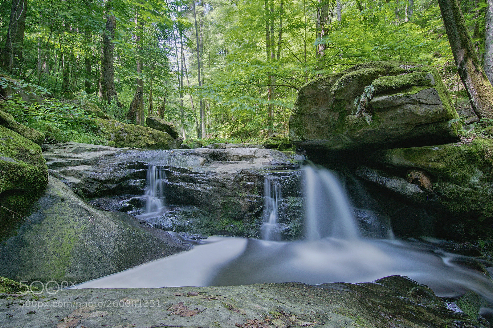 Nikon D5300 sample photo. Saturday´s  walk photography