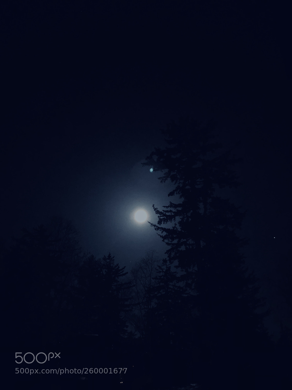 Apple iPhone X sample photo. Untitled photography
