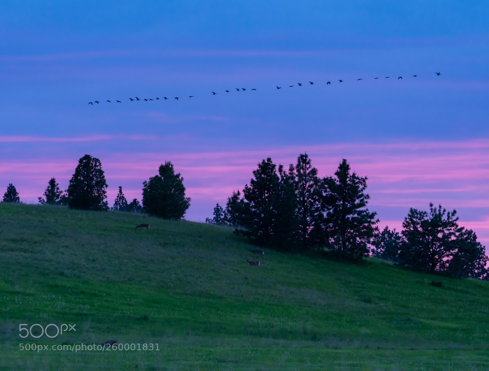 Sony a7R III sample photo. Beautiful scene photography