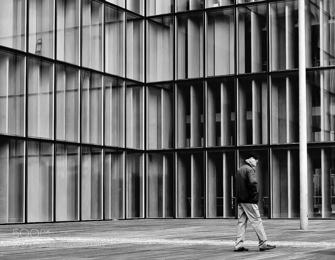 Nikon D5300 sample photo. Solitary walk photography