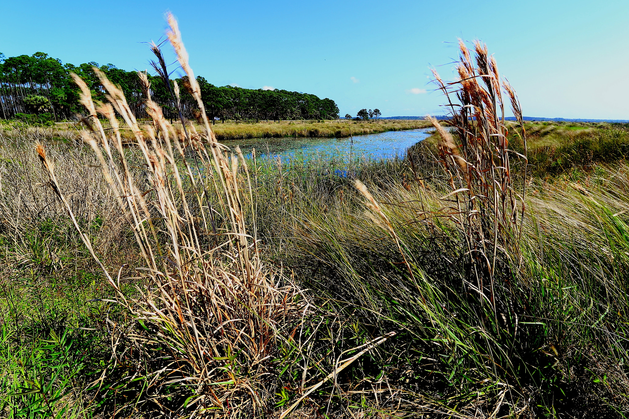 Canon EOS 7D Mark II sample photo. Wa photography