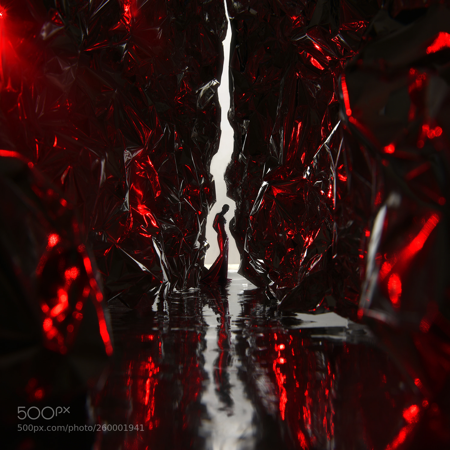 Nikon D810 sample photo. "red queen " photography