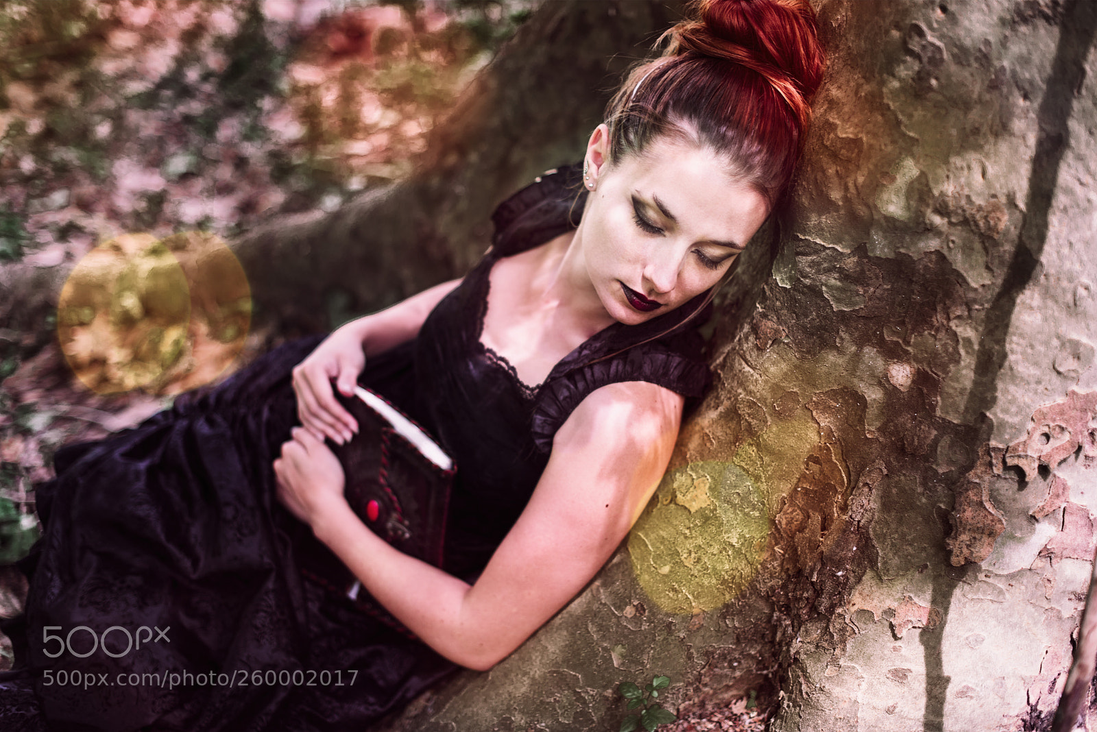 Nikon D750 sample photo. Under a tree at photography