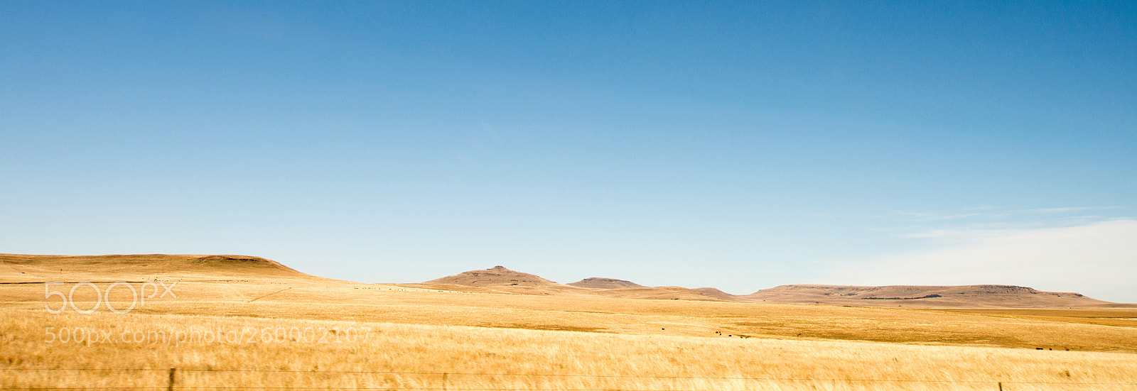 Nikon D7200 sample photo. Roads of south africa photography
