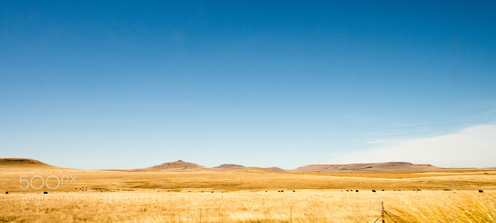 Nikon D7200 sample photo. Roads of south africa photography