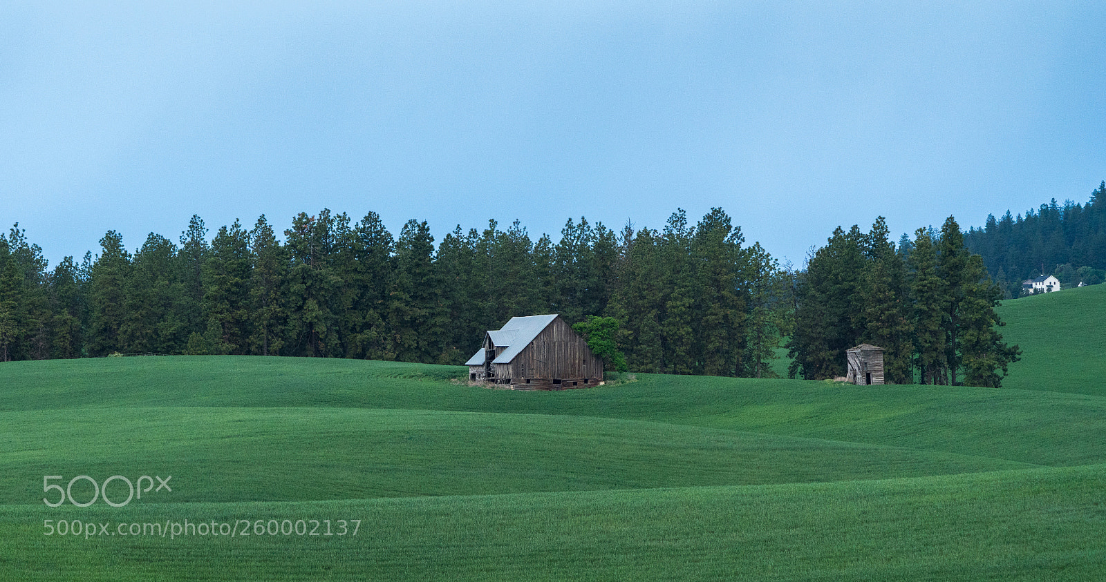 Sony a7R III sample photo. Barn in rolling fields photography