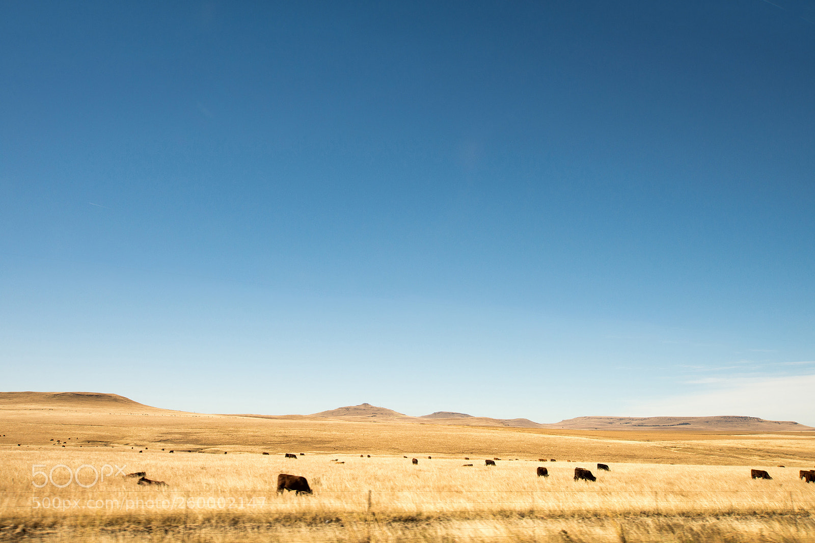 Nikon D7200 sample photo. Roads of south africa photography