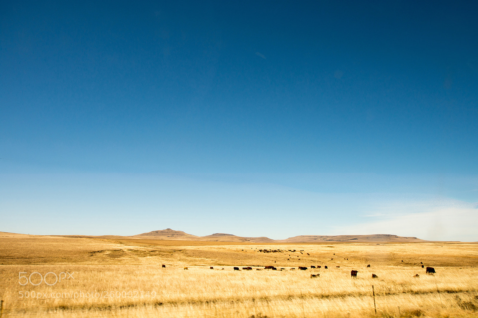 Nikon D7200 sample photo. Roads of south africa photography