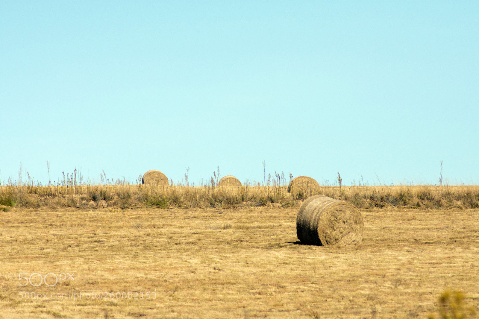 Nikon D7200 sample photo. Roads of south africa photography