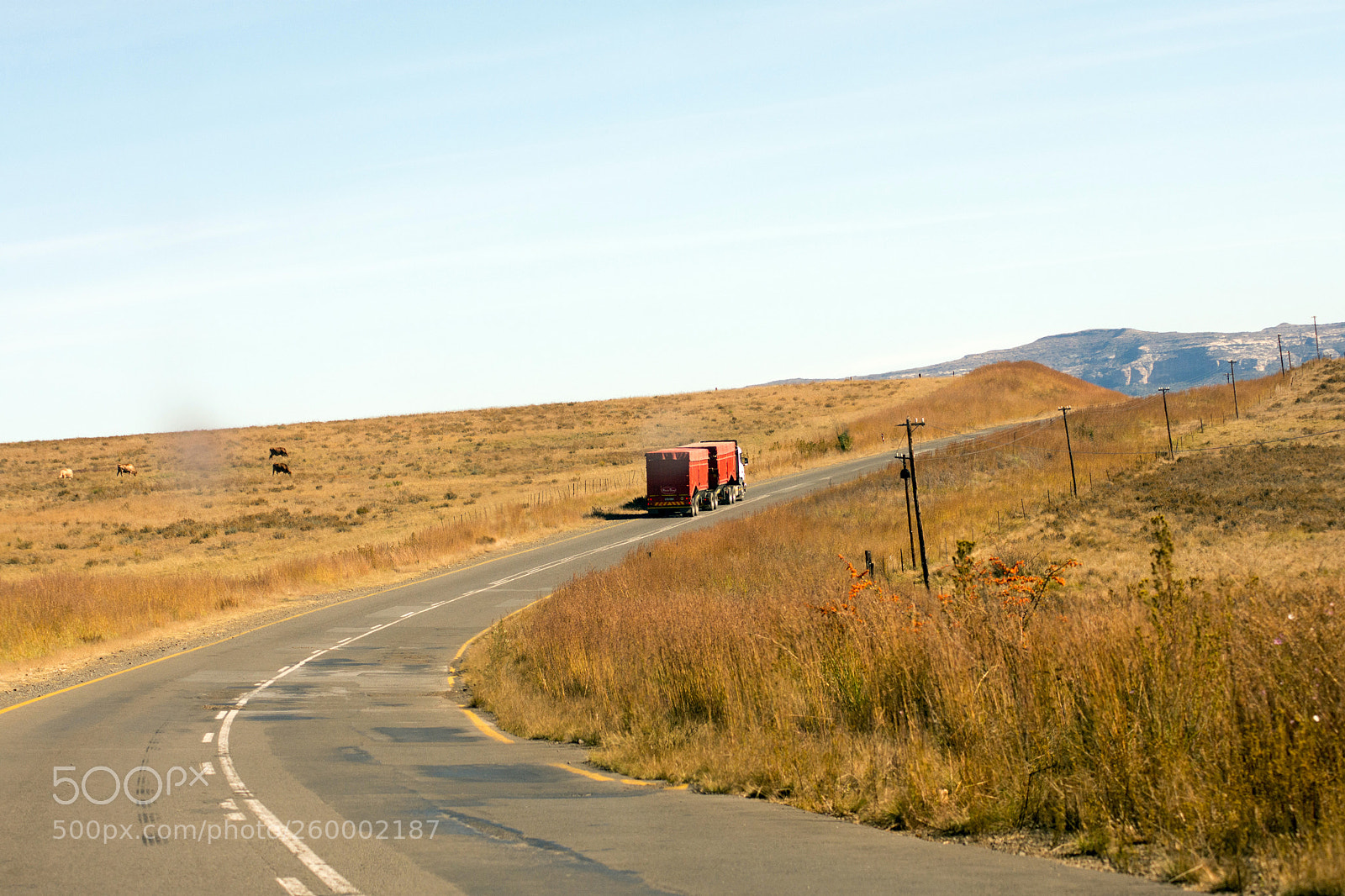Nikon D7200 sample photo. Roads of south africa photography