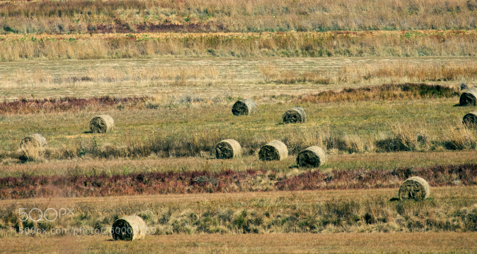 Nikon D7200 sample photo. Roads of south africa photography