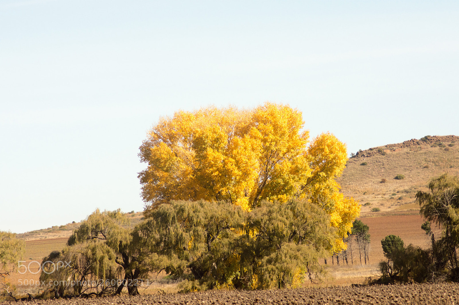 Nikon D7200 sample photo. Roads of south africa photography