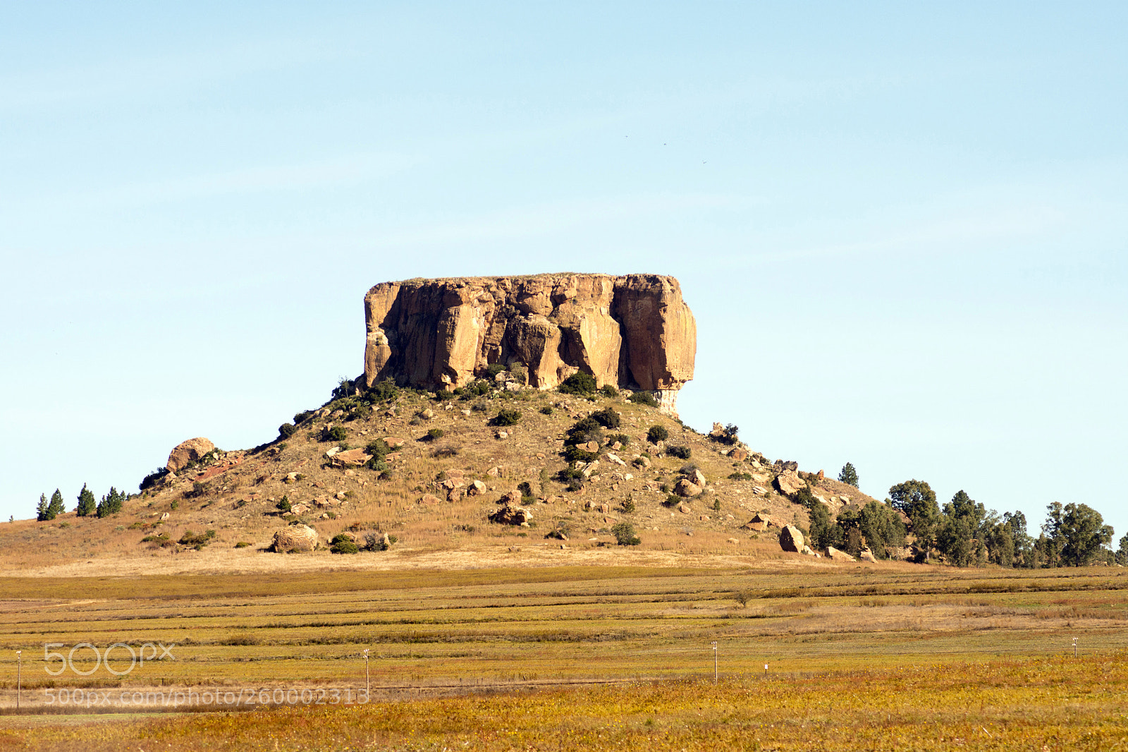 Nikon D7200 sample photo. Roads of south africa photography