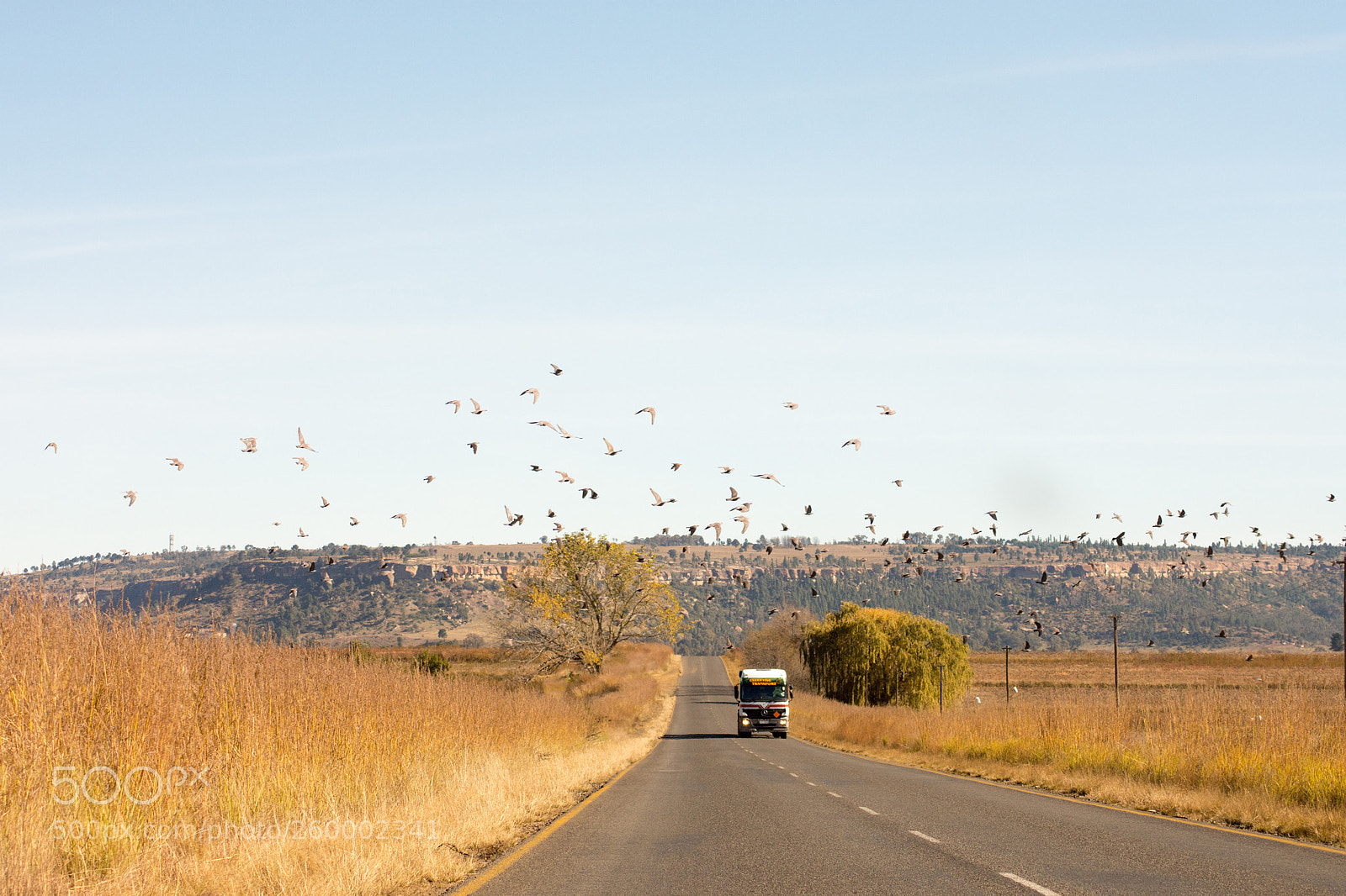 Nikon D7200 sample photo. Roads of south africa photography