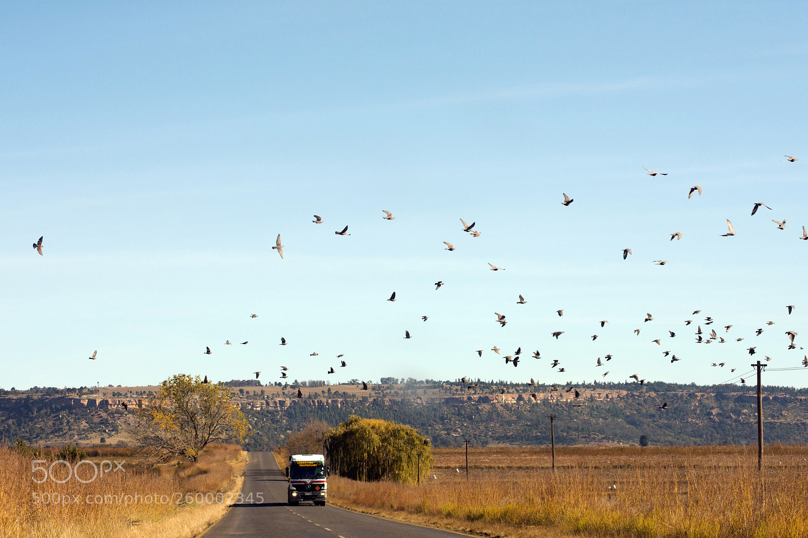 Nikon D7200 sample photo. Roads of south africa photography