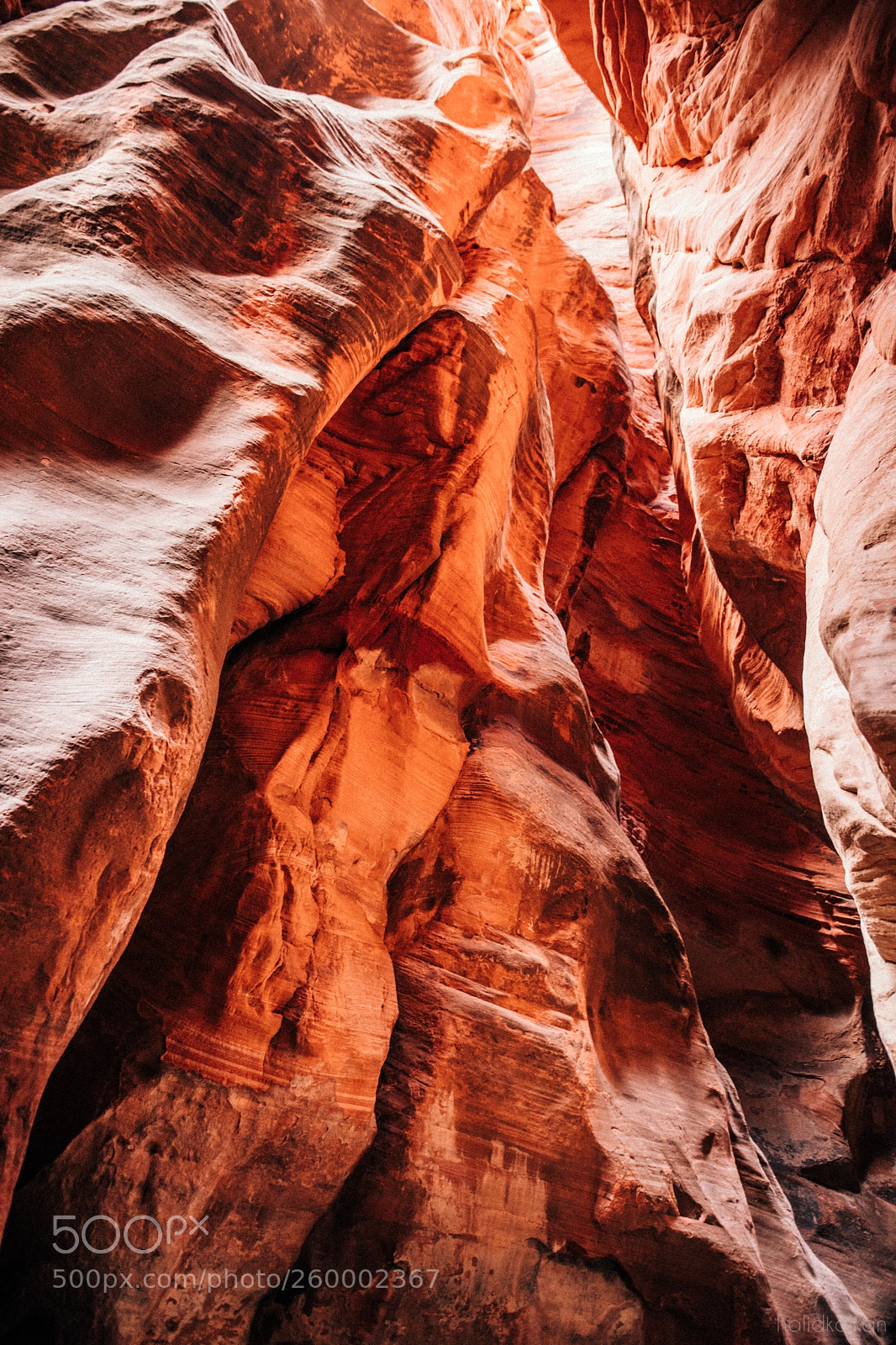 Canon EOS 5D Mark IV sample photo. Burnt photography