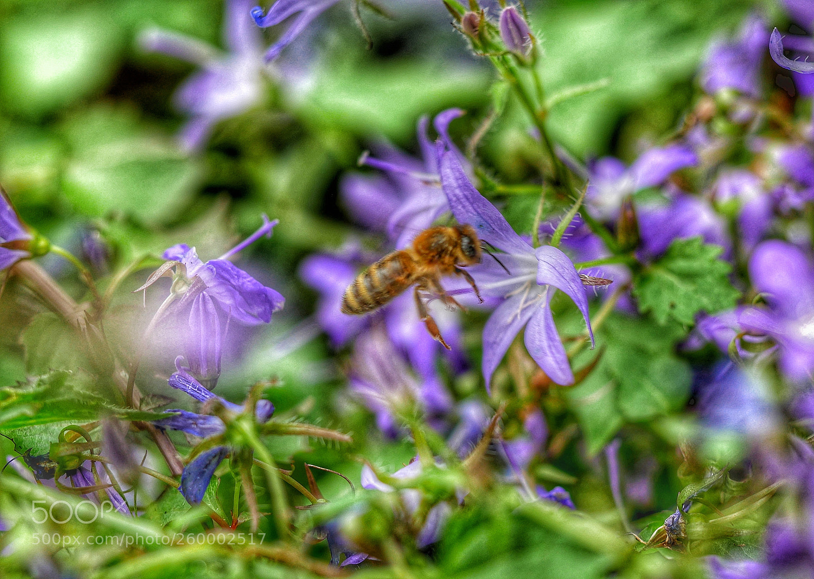 Panasonic Lumix DMC-GX85 (Lumix DMC-GX80 / Lumix DMC-GX7 Mark II) sample photo. ?... photography