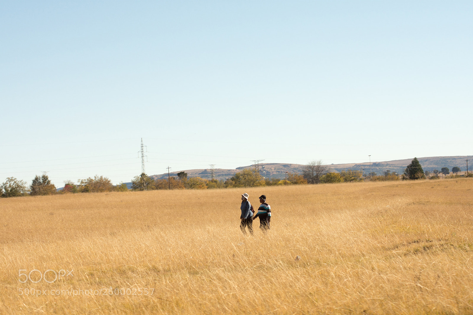 Nikon D7200 sample photo. Roads of south africa photography