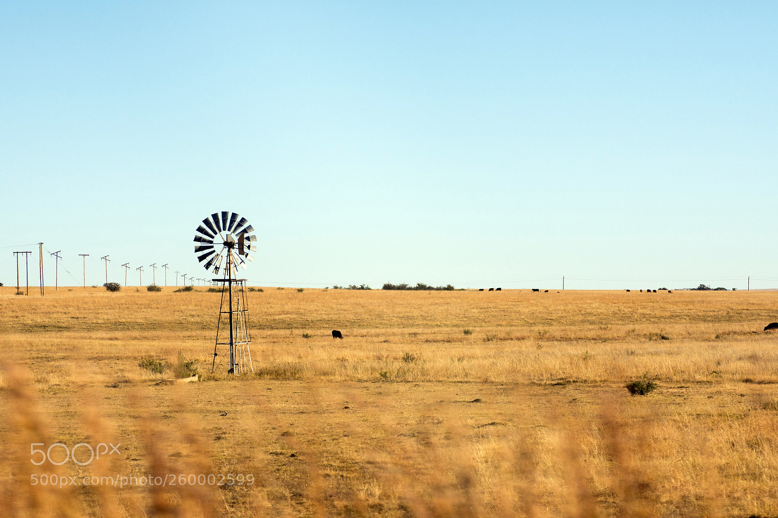 Nikon D7200 sample photo. Roads of south africa photography